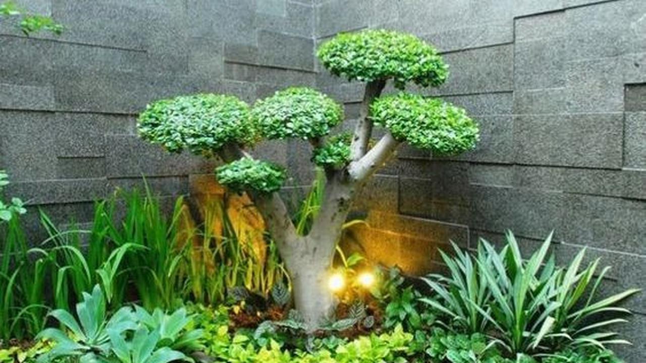 4. Tembok Taman Minimalis dengan Batu Andesit