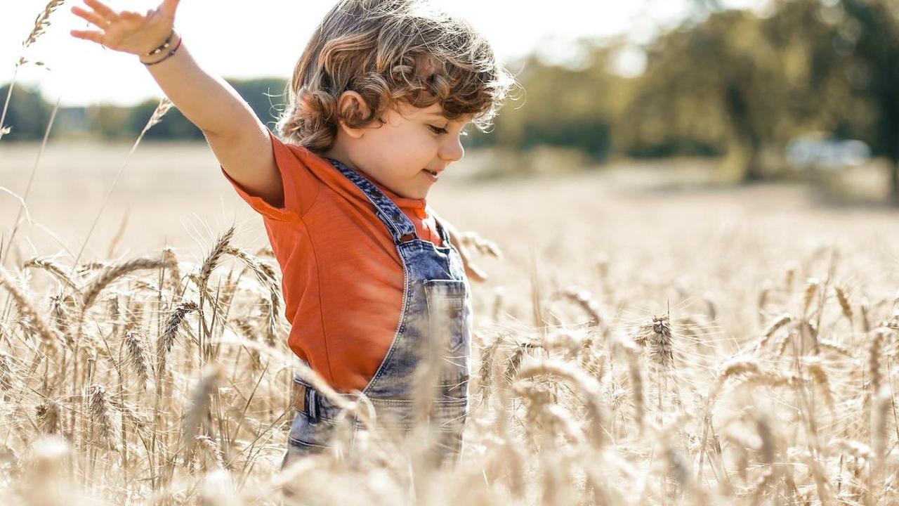 Setelah mengenali ciri-ciri anak yang memiliki kecerdasan naturalis, berikut adalah beberapa cara untuk menstimulasi kecerdasan ini pada anak: