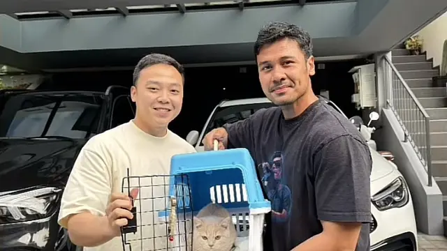 Chicco Jerikho mengadopsi kucing jenis British Short Hair, dikasih nama Slamet dan Ningrum. (Dok: TikTok @alcarishkennel)