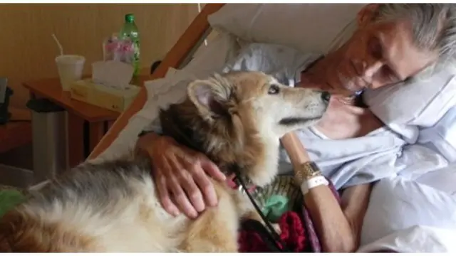 Foto: copyright toptenz.net