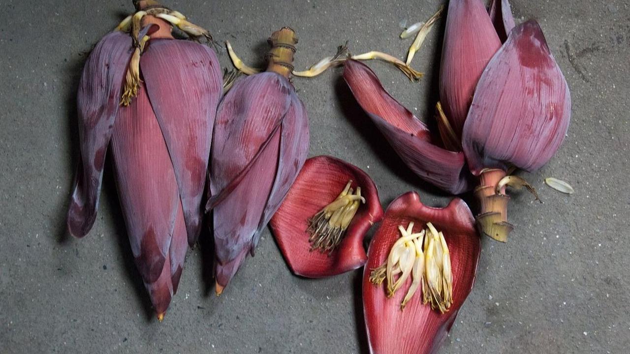 4. Perlindungan Dari Badai