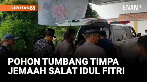  Pohon Tumbang Timpa Jemaah Salat Idul Fitri di Pemalang, 2 Orang Meninggal