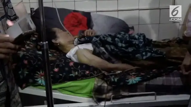 VIDEO: Lagi, Harimau Terkam Petani di Sumatera