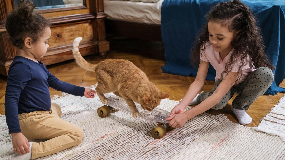 Benarkah Kucing sebagai Terapi? Berikut Manfaat untuk Tumbuh Kembang Anak