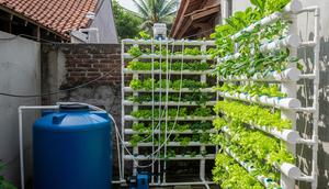 Ide hidroponik sayur mini di rak vertikal lorong gang. [Foto: Gemini]