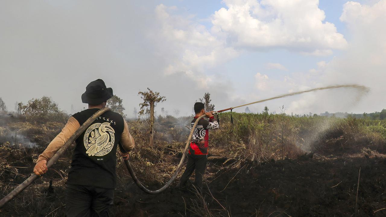 Kemarau Panjang Picu Kebakaran Lahan Gambut di Pulang Pisau