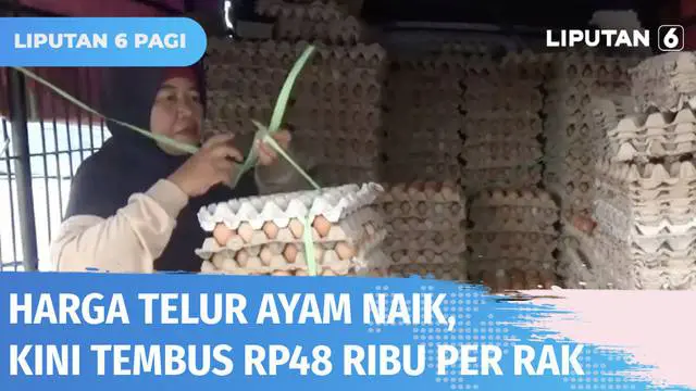 Harga telur ayam ras di Polewali Mandar naik hingga 10 persen menjadi Rp 48 ribu per satu rak. Sebaliknya, pendapatan pedagang turun hingga 50 persen. Menurut pedagang, naiknya harga telur imbas dari tingginya pakan ternak.