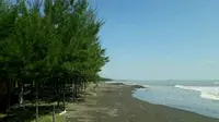 Wisata Edukasi Tambak Udang Vannamei hingga Mitos Pantai Pulau Kodok Tegal. (Liputan6.com/ Fajar Eko Nugroho)