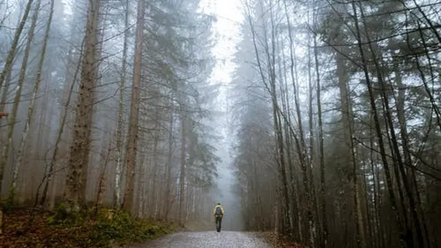 Arti Mimpi Tersesat Tergantung pada Situasi yang Terjadi