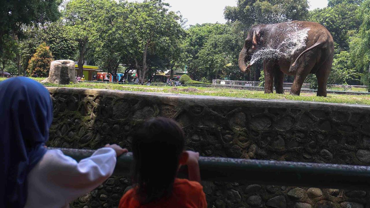 FOTO: Peringatan Maulid Nabi, Ragunan Diserbu Pengunjung