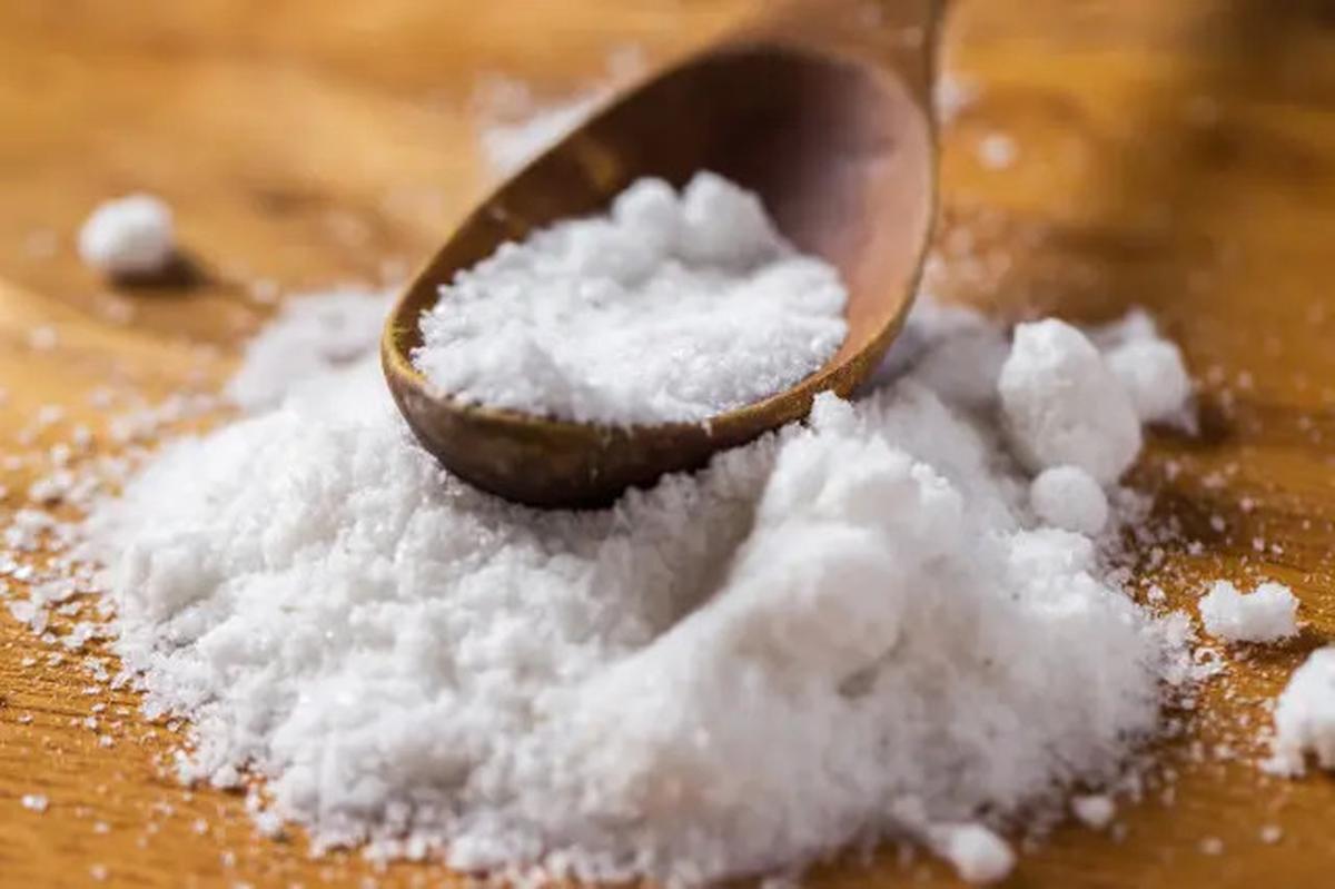 Cara Mematikan Ikan Lele Tanpa Dipukul, Coba Trik Mudah Ini dengan Garam