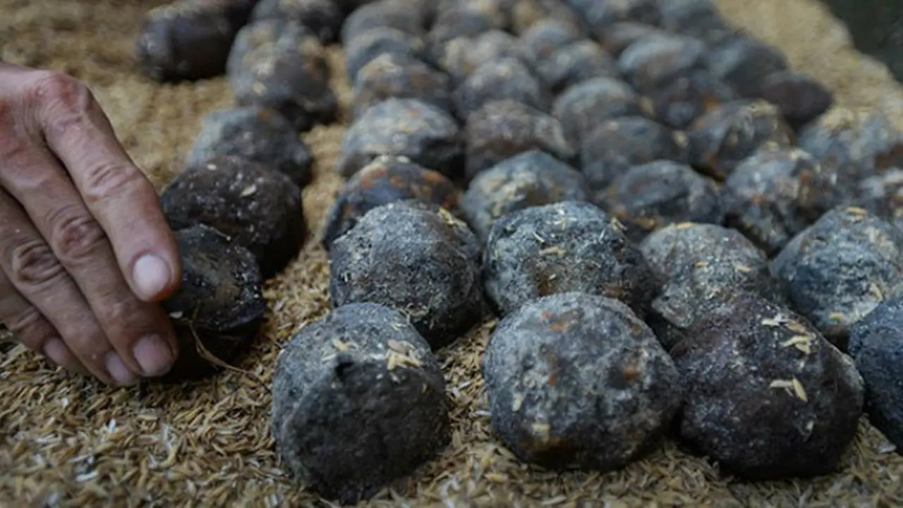 Cluster bombs