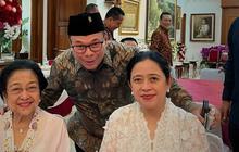 Profil Singkat Romy Soekarno, Keponakan Megawati Pengganti Arteria Dahlan di DPR