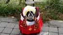Seekor anjing berkostum kendaraan khusus Paus Fransiskus pada Parade Tompkins Square Halloween Dog di New York, 27 Oktober 2018. Parade Halloween khusus anjing ini digelar setiap tahun, dan tahun ini merupakan gelaran yang ke-28. (TIMOTHY A. CLARY / AFP)
