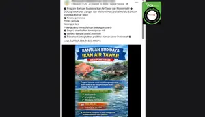 Kumpulan Hoaks Bantuan Budidaya Ikan di Facebook, Simak Daftar dan Faktanya
