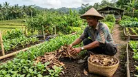 10 Bahan Pengganti Mulsa Plastik untuk Kebun Sayur yang Mudah Ditemukan di Rumah