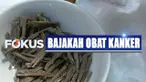 Viral anak SMA klaim bajakah dapat digunakan jadi obat kanker, Kemenkes akan melakukan penelitian lebih lanjut untuk memastikan kebenarannya.
