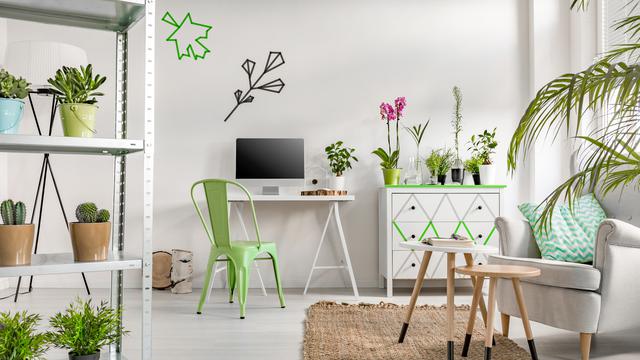 Manfaat Meletakkan Tanaman di Dalam Ruangan
