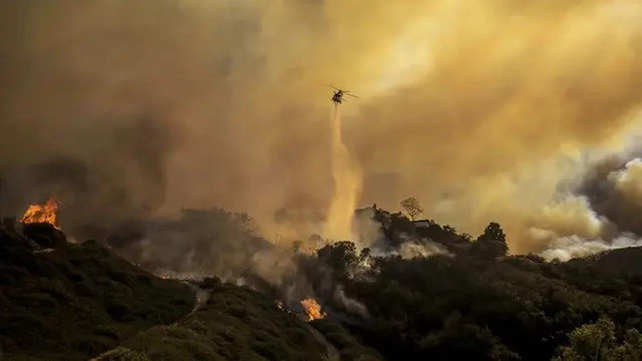 Kerugian Akibat Kebakaran Hutan Los Angeles Capai Rp810 Triliun