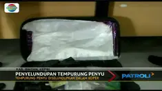 Berdasarkan pemeriksaan, ratusan tempurung penyu sisik ini akan diselundupkan menuju Pelabuhan Tenau.