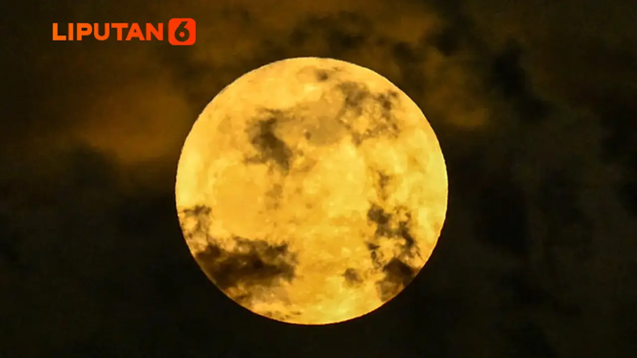 Banner Infografis Fenomena Sturgeon Moon Agustus 2025.