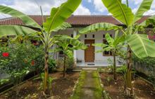 Percantik Rumah dengan 7 Jenis Pohon Pisang Pendek untuk Lahan Terbatas
