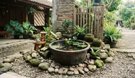 Cara Membuat Kolam Ikan Mini dari Ember Bekas Bergaya Zen Ala Jepang, Hiasan Estetik Sederhana