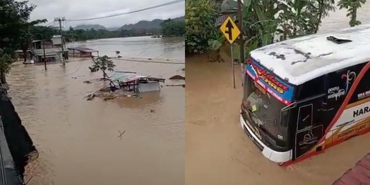 Bus Terjebak Banjir di Jalan, Sopir Terpaksa Ngungsi di Atap Rumah Warga