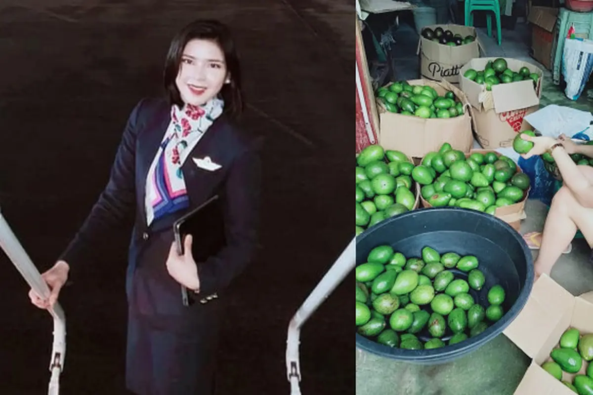 Kena PHK di Tengah Pandemi, Pramugari Ini Banting Setir Jual Alpukat