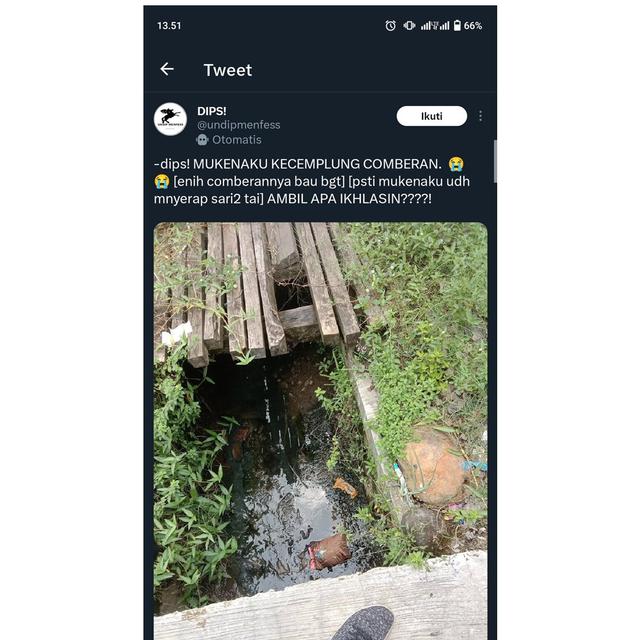 6 Cuitan Random Netizen di Menfess Kampus Undip Ini Bikin Tepuk Jidat