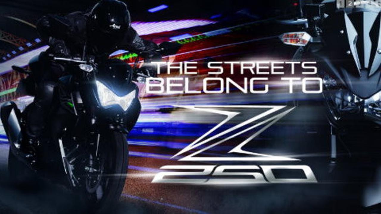 Kawasaki Z250 2013