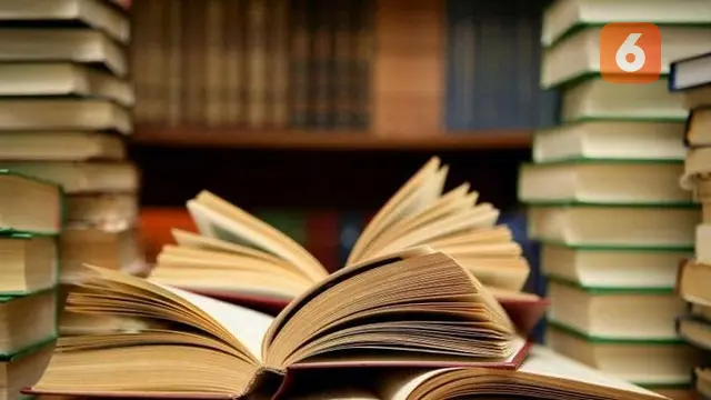 Potret Ilustrasi Buku 'Aku'Karya Sjuman Djaya