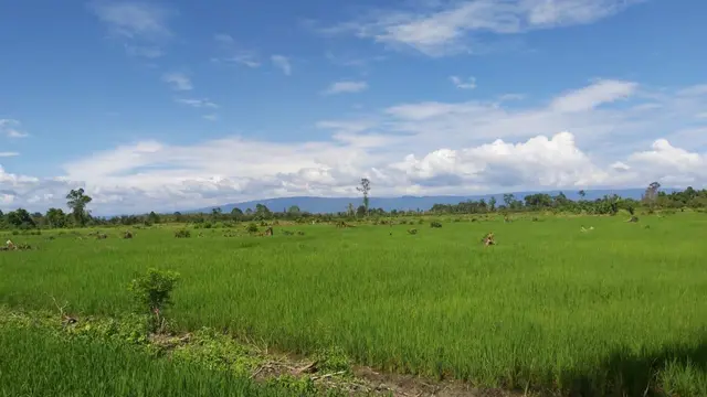 Kementan