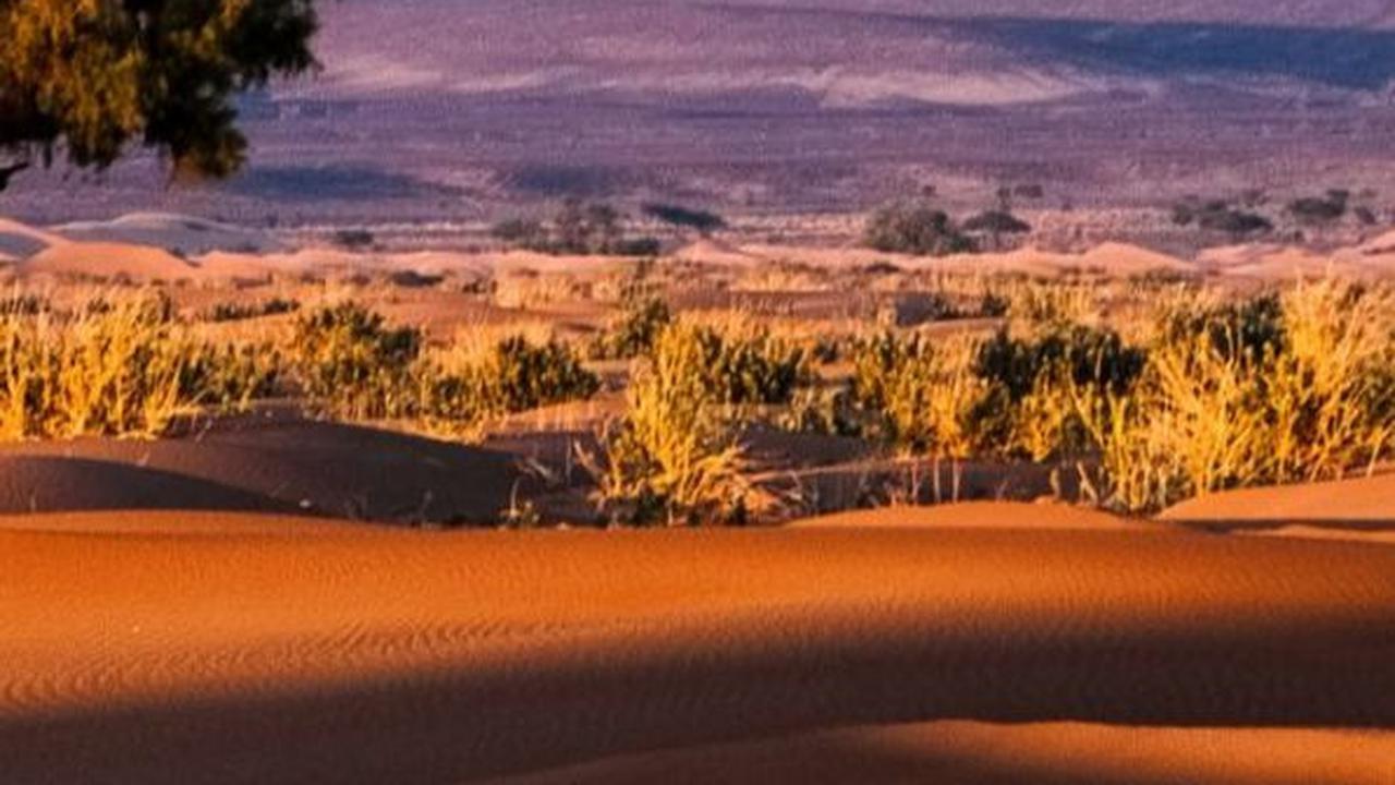 Bukan Fatamorgana, 6 Danau Ini Benar-Benar Ada di Gurun Sahara