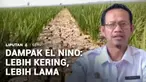 Kekeringan di musim kemarau kali ini cukup ekstrem karena fenomena El Nino. Tak hanya mengganggu pasokan air, fenomena El Nino juga berdampak pada kualitas udara.