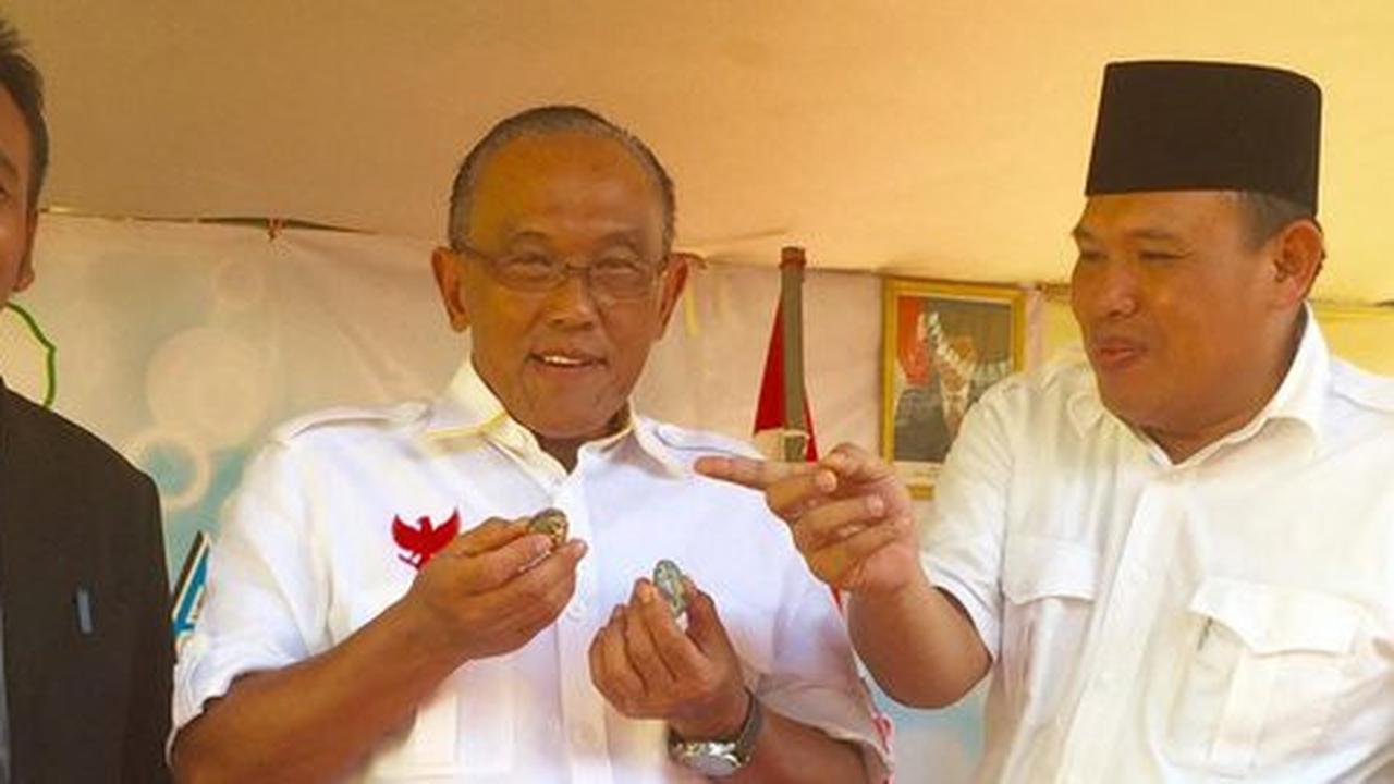 Klaim untuk kepentingan dapil, Ical dukung penuh dana aspirasi