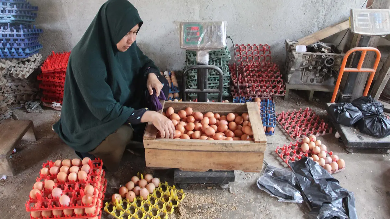 Kementan Tetapkan Harga Acuan Telur Ayam Mulai Pertengahan Juli