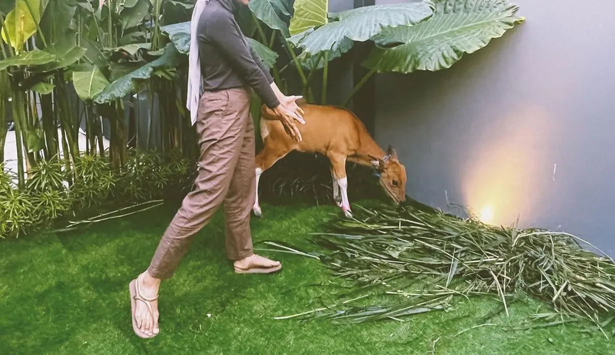 Ayudia Bing Slamet ultah ke-31 (Instagram/ayudiac)