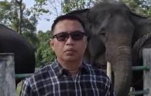 BKSDA Jambi Dorong Masyarakat Berdaya dalam Pengembangan Konservasi Gajah PIKG Tebo