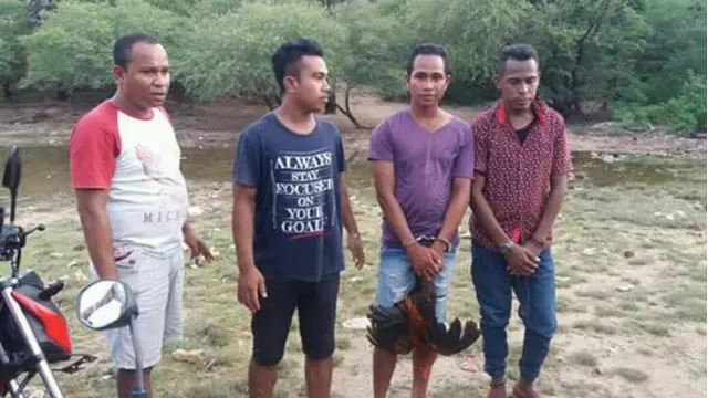 Penjudi Sabung Ayam di Kupang