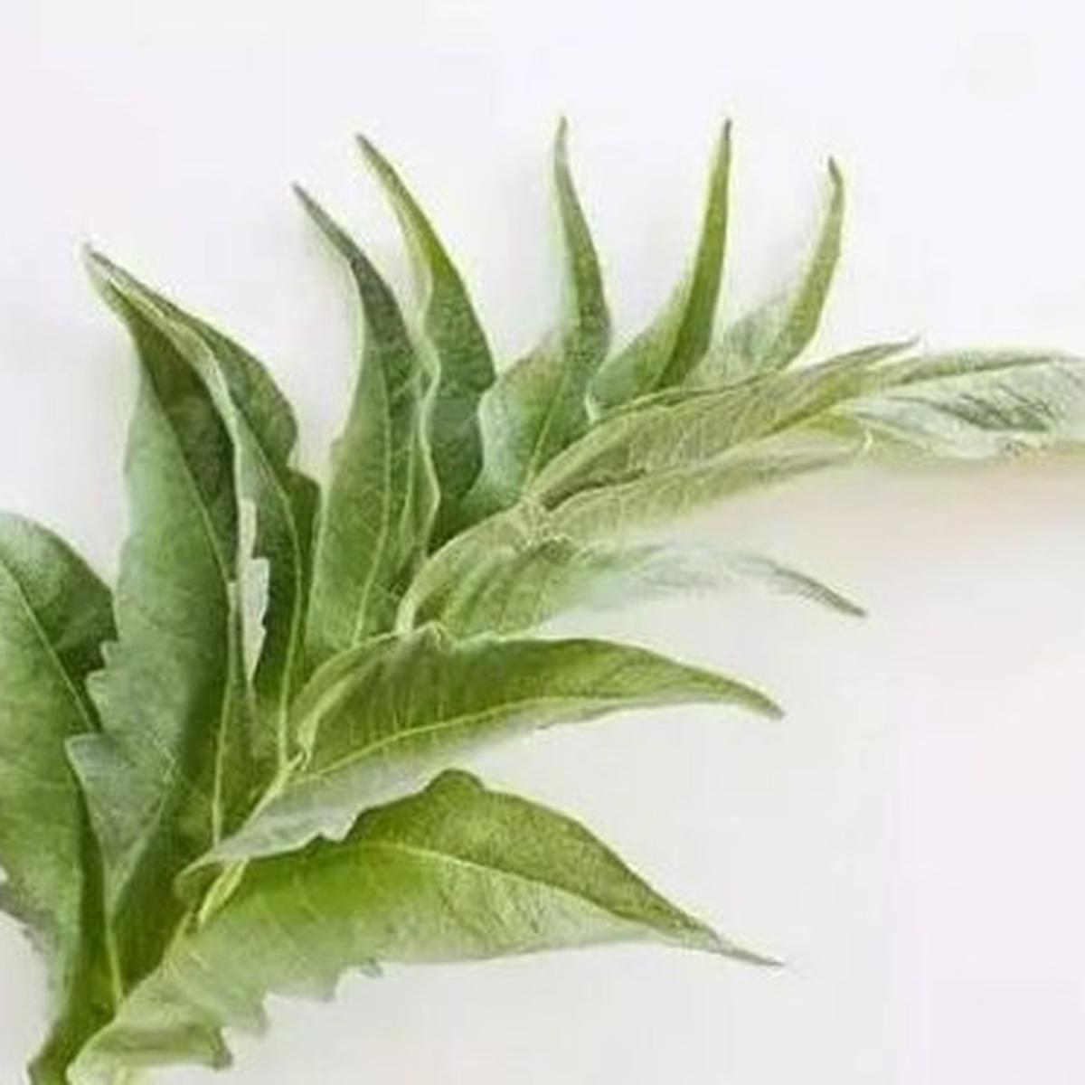 Artichoke. (foto: Pinterest/Daily Li).