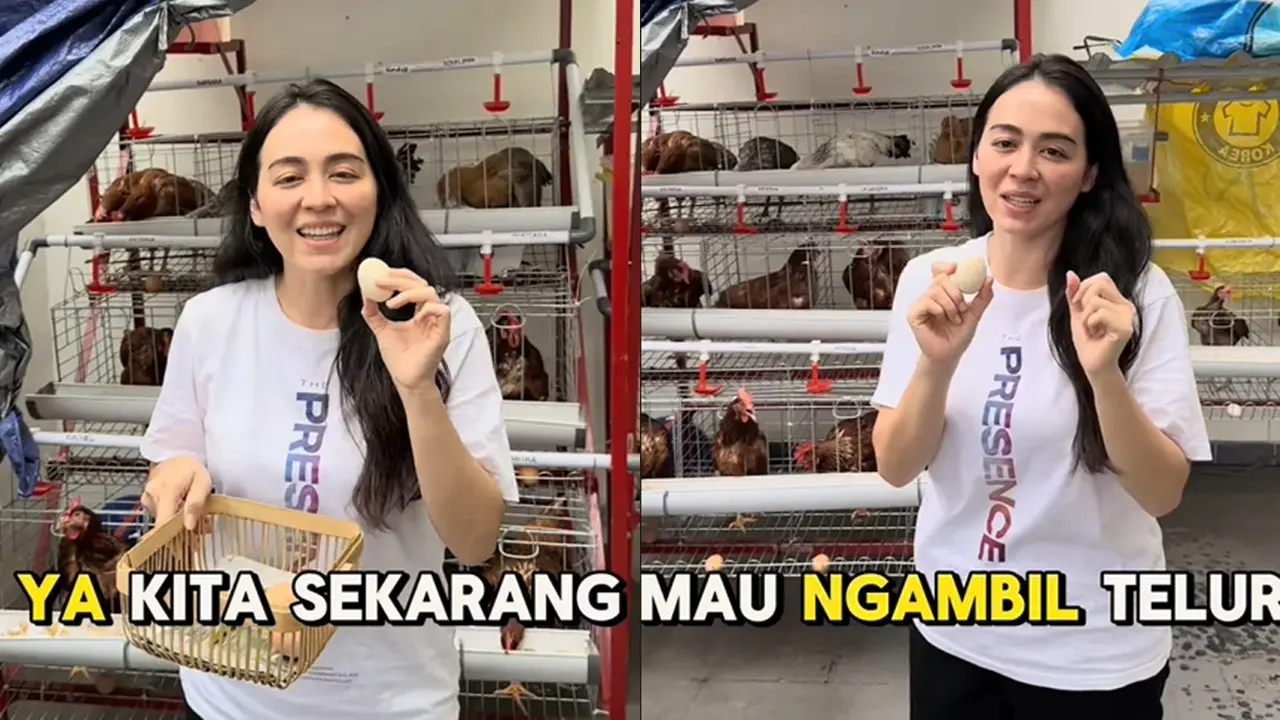 Potret Kandang Ayam Jevier Justin dan Tiffany Orie
