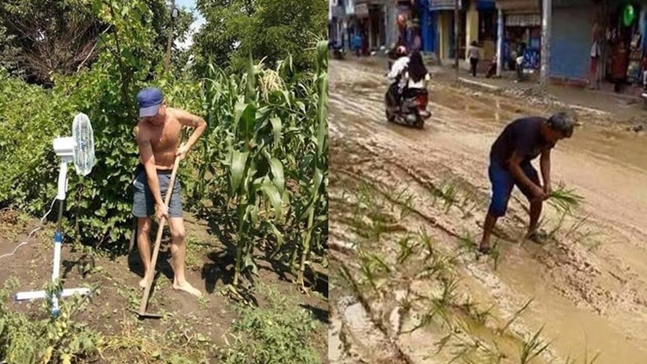 6 Kelakuan Bapak-Bapak saat Menamam Ini Bikin Geleng Kepala