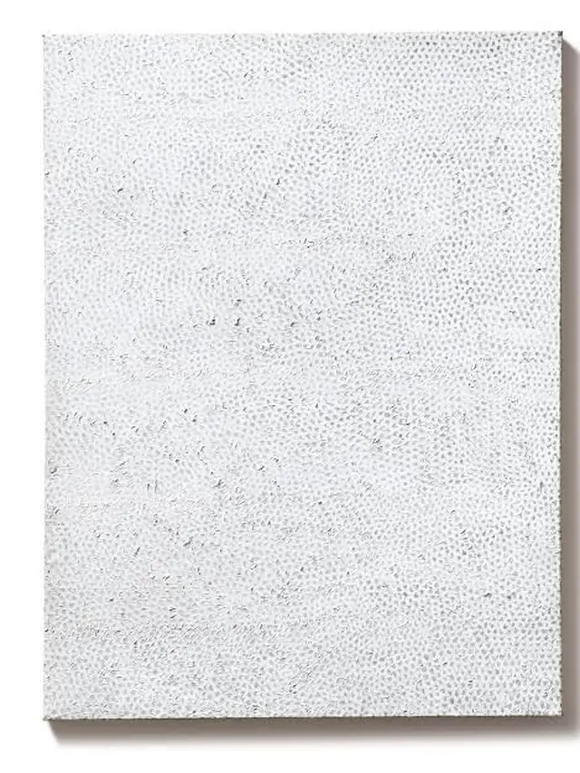 Interminable Net No.4, Yayoi Kusama, 1959
