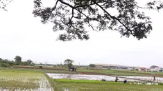 Petani menanam padi di persawahan di kawasan Tangerang, Kamis (3/12/2020). Kementerian Pertanian menargetkan pada musim tanam pertama 2020-2021 penanaman padi mencapai seluas 8,2 juta hektare menghasilkan 20 juta ton beras. (Liputan6.com/Angga Yuniar)