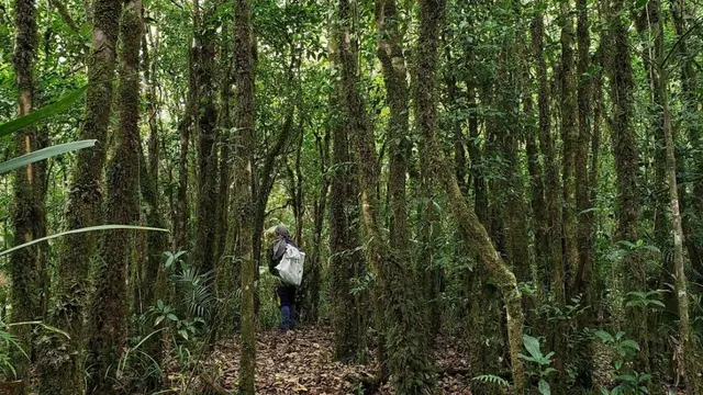 Gunung Samkos