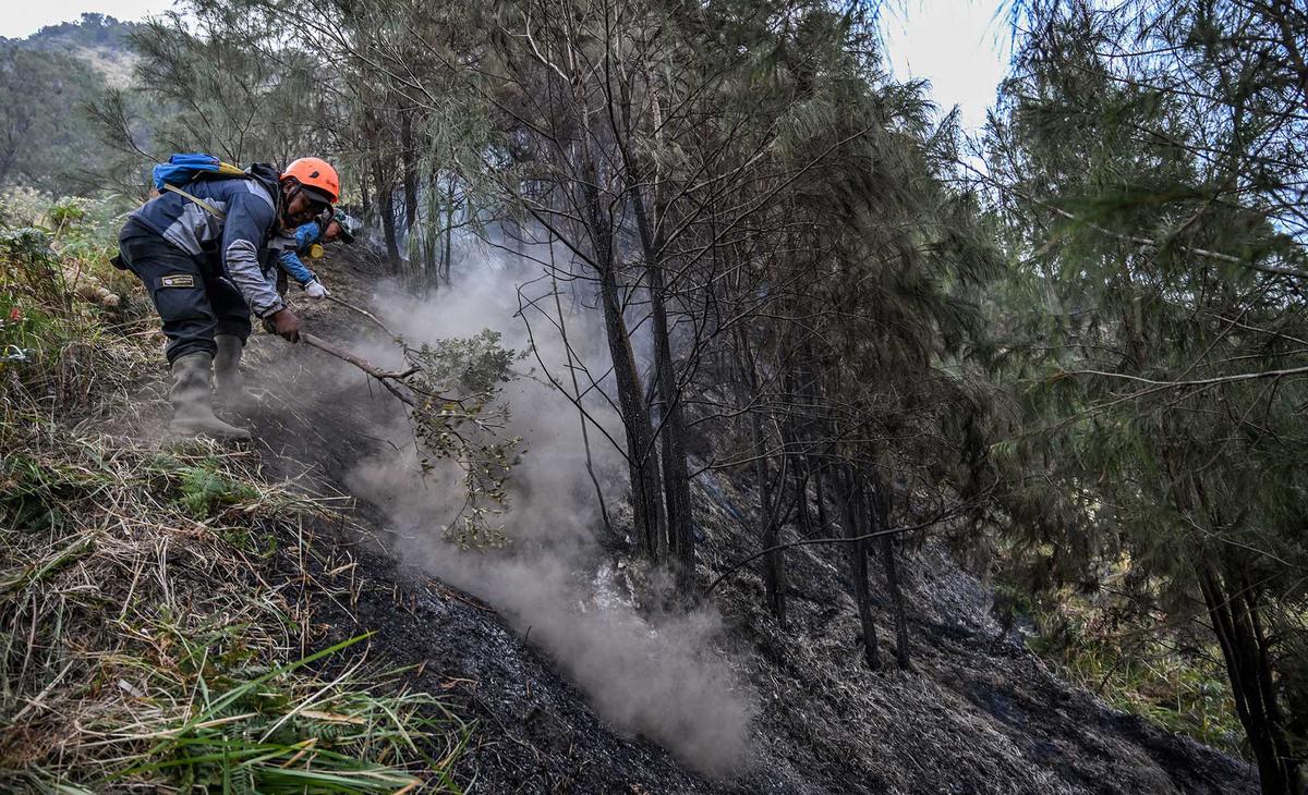 Karhutla Gunung Bromo Meluas Hingga 550 Hektare