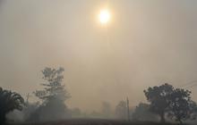 Palangka Raya Diselimuti Kabut Asap Akibat Karhutla