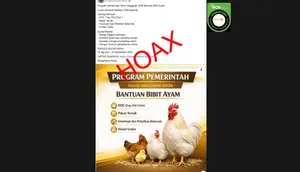 Cek Fakta: Hoaks Link Pendaftaran Bantuan Bibit Ayam untuk 5.000 Peserta
