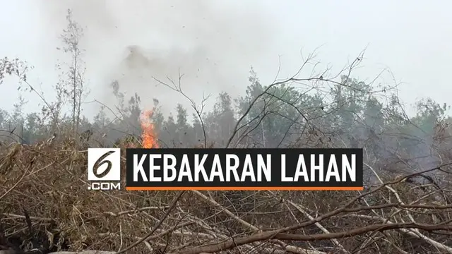 Wakapolri Komjen Pol Ari Dono Sukmanto pastikan akan menindak tegas pembakar lahan dan hutan. Hal ini diungkapkan saat berkunjung ke Palangka Raya, Selasa (13/8).